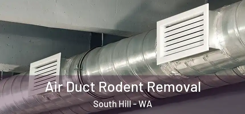 Air Duct Rodent Removal South Hill - WA