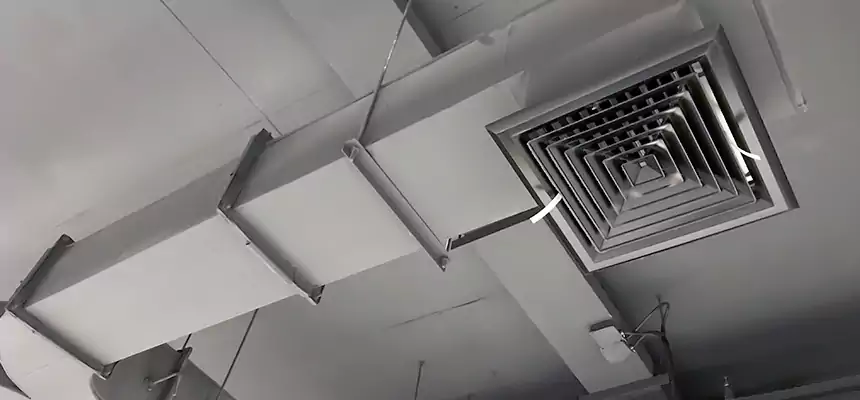 Restorative Allergy Relief Vent Cleaning – Coil, Blower & Housing Detail in South Hill