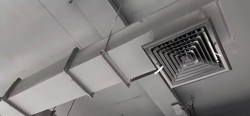 Our Rodent Droppings In Vents Services in South Hill, WA