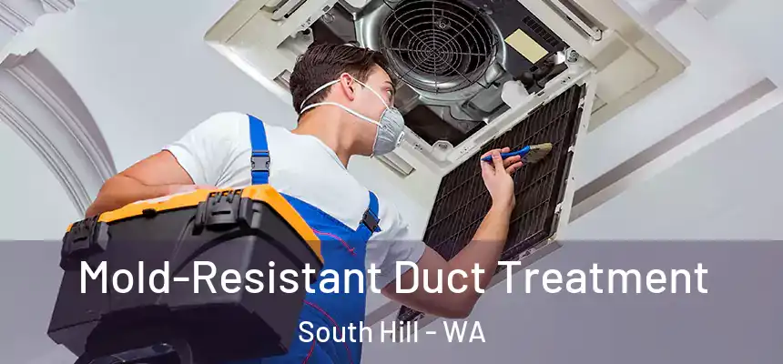  Mold-Resistant Duct Treatment South Hill - WA