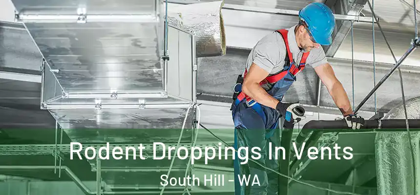  Rodent Droppings In Vents South Hill - WA
