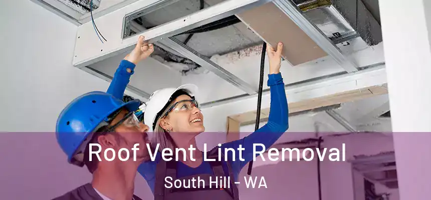  Roof Vent Lint Removal South Hill - WA