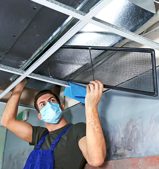 About Air Duct Bacteria Removal in South Hill