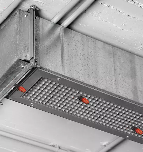 About Air Duct Cockroach Removal in South Hill, WA