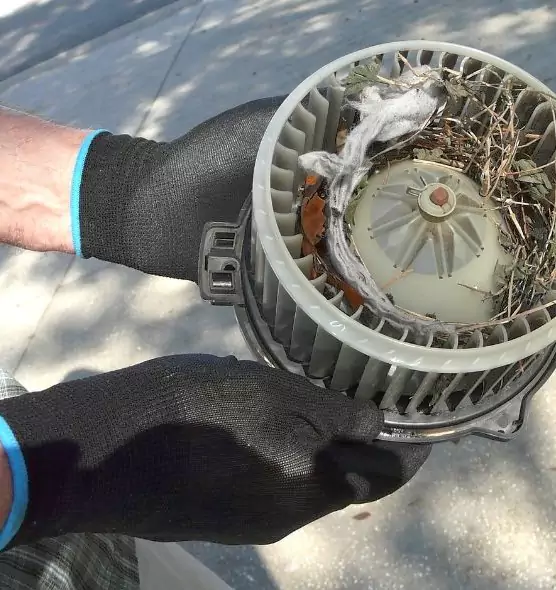 About Air Duct Mice Removal in South Hill, WA