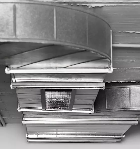 Professional Air Duct Pest Removal in South Hill, WA