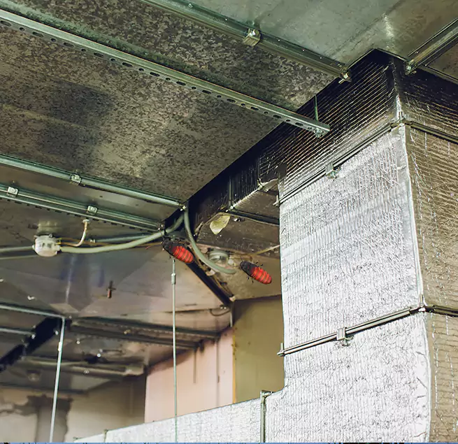 Why Homeowners & Businesses Trust Us South Hill, WA?