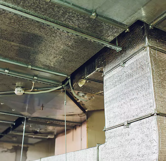 Why Homeowners & Businesses Trust Us in South Hill, WA?